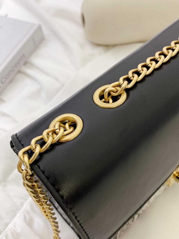 Snakeskin Print Chain Crossbody Bag